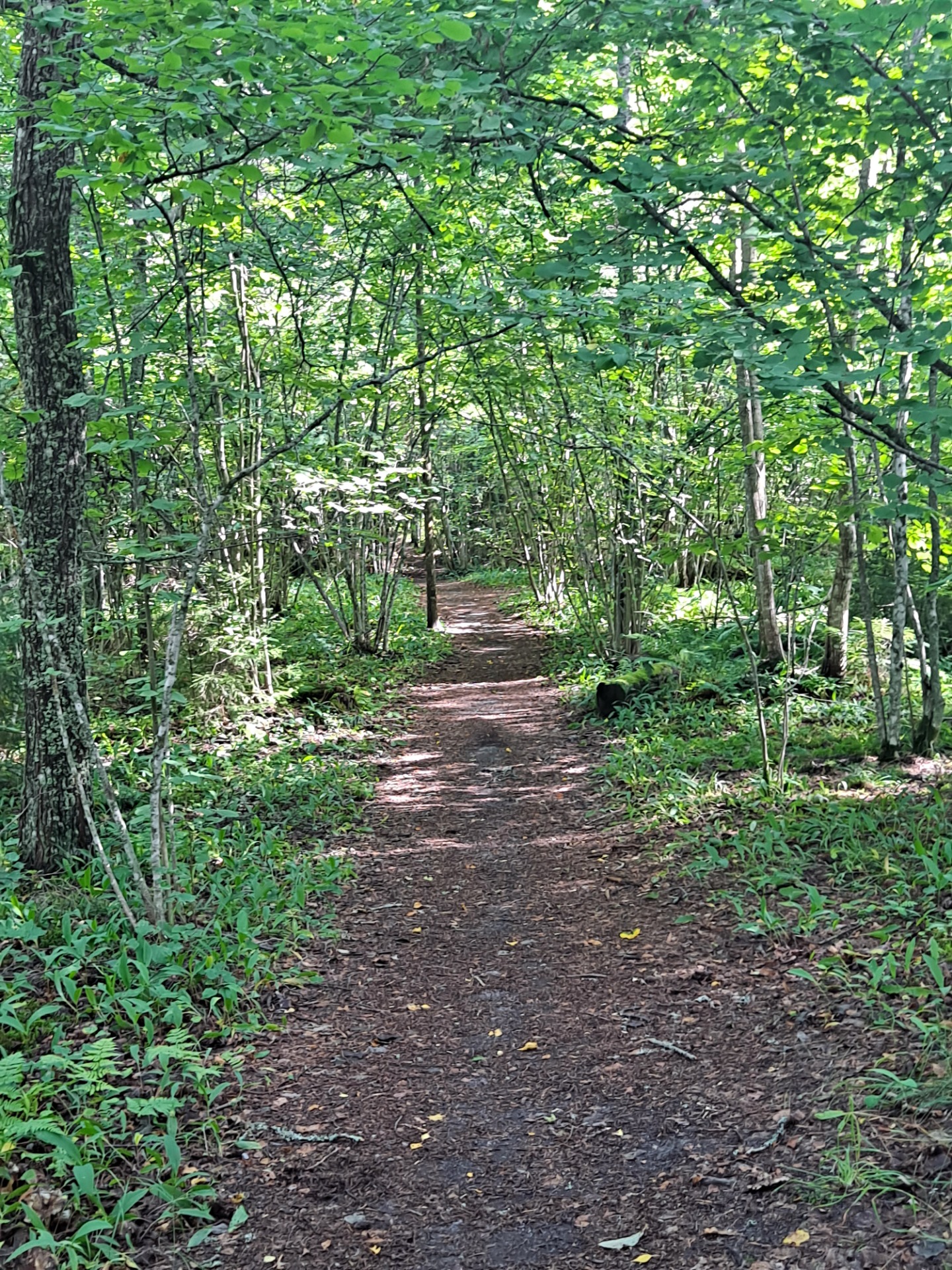 Kuva: Marjo Nousiainen